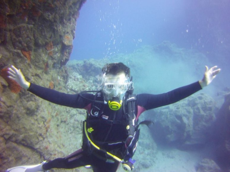 Buceo Tenerife, precios y reservas 2024 Buceo Tenerife, precios y reservas 2024